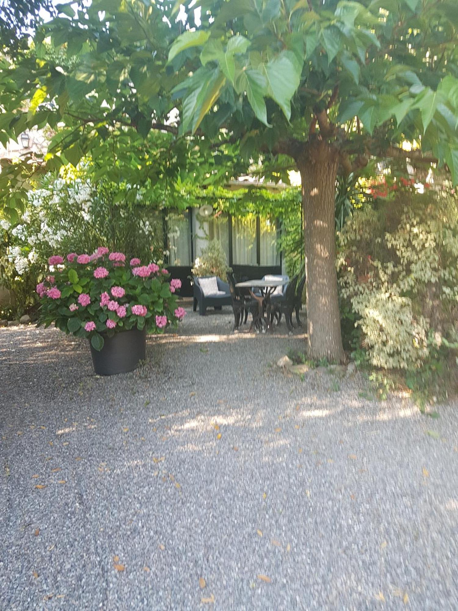 La Maison Sur La Colline Καρκασόν Εξωτερικό φωτογραφία