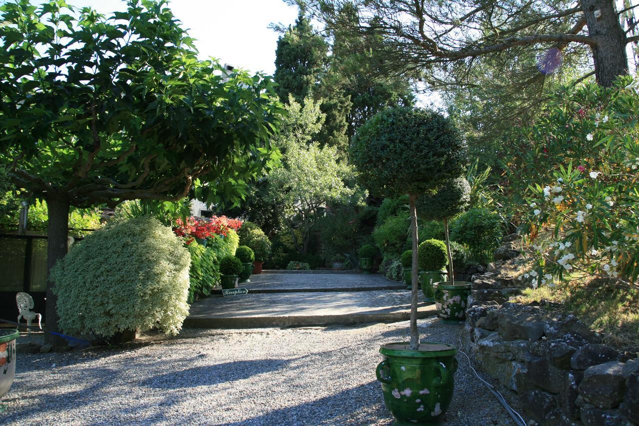 La Maison Sur La Colline Καρκασόν Εξωτερικό φωτογραφία